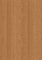 /album/dtd-materialy-vstavane-skrine/a89-dub-svetly-h3388-jpg/